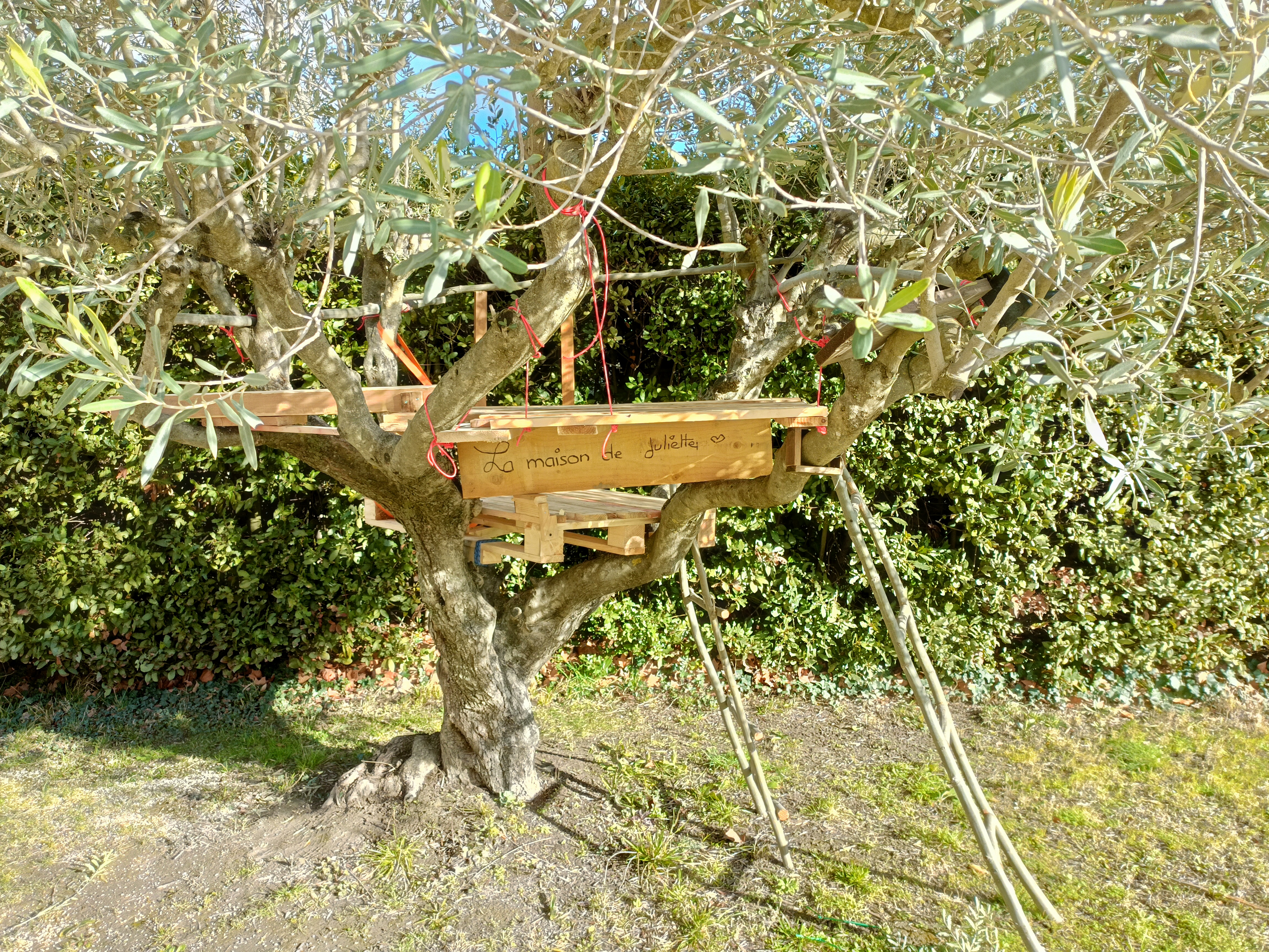 Cabane dans les arbres